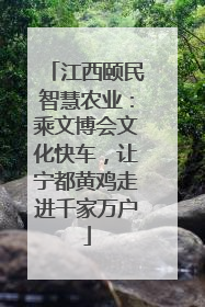 江西颐民智慧农业：乘文博会文化快车，让宁都黄鸡走进千家万户