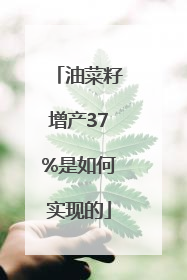 油菜籽增产37%是如何实现的
