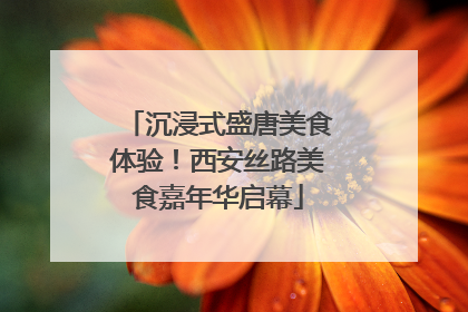 沉浸式盛唐美食体验！西安丝路美食嘉年华启幕