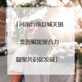 河南台前县城关镇：集智赋能聚合力 凝聚共识促发展