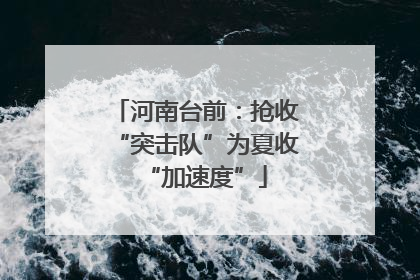 河南台前：抢收“突击队”为夏收“加速度”