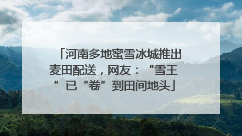 河南多地蜜雪冰城推出麦田配送，网友：“雪王”已“卷”到田间地头