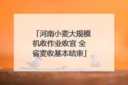 河南小麦大规模机收作业收官 全省麦收基本结束