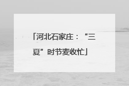 河北石家庄：“三夏”时节麦收忙
