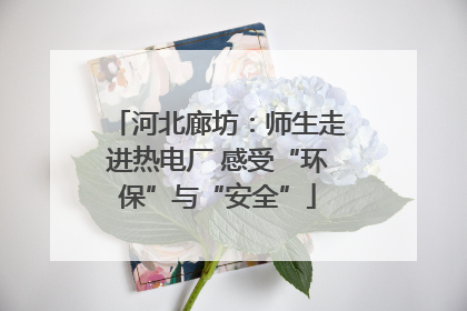河北廊坊：师生走进热电厂 感受“环保”与“安全”