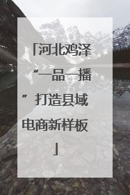 河北鸡泽“一品一播”打造县域电商新样板