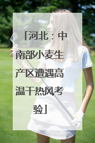 河北：中南部小麦生产区遭遇高温干热风考验
