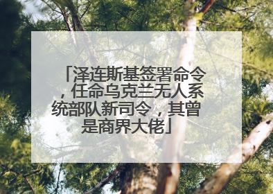 泽连斯基签署命令，任命乌克兰无人系统部队新司令，其曾是商界大佬