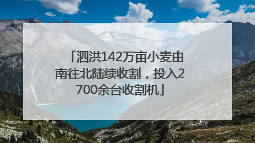 泗洪142万亩小麦由南往北陆续收割，投入2700余台收割机