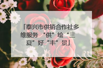 泰兴市供销合作社多维服务 “供”绘“三夏”好“丰”景