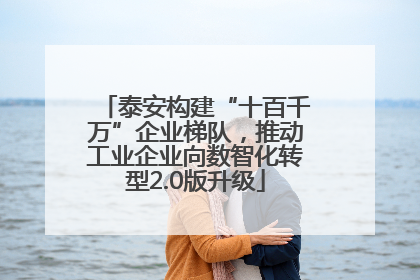 泰安构建“十百千万”企业梯队，推动工业企业向数智化转型2.0版升级