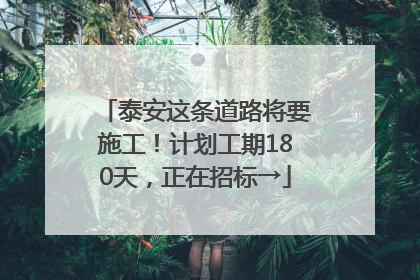 泰安这条道路将要施工！计划工期180天，正在招标→