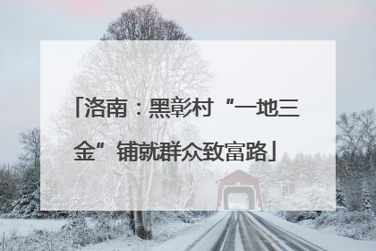 洛南：黑彰村“一地三金”铺就群众致富路