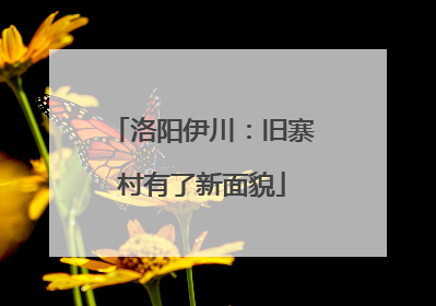 洛阳伊川：旧寨村有了新面貌