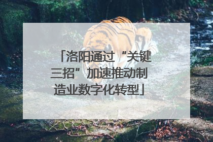 洛阳通过“关键三招”加速推动制造业数字化转型