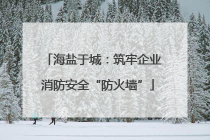 海盐于城：筑牢企业消防安全“防火墙”
