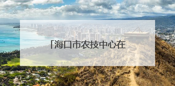 海口市农技中心在永兴镇联合举办第二十一届科技活动月农业科技下乡活动