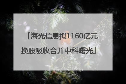 海光信息拟1160亿元换股吸收合并中科曙光