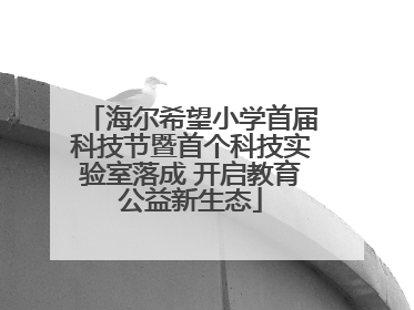 海尔希望小学首届科技节暨首个科技实验室落成 开启教育公益新生态