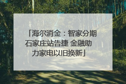 海尔消金：智家分期石家庄站告捷 金融助力家电以旧换新