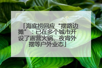 海底捞回应“摆路边摊”：已在多个城市开设了露营火锅、夜宵外摆等户外业态