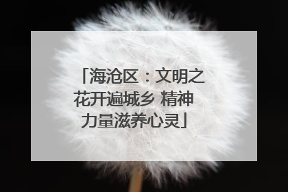 海沧区：文明之花开遍城乡 精神力量滋养心灵