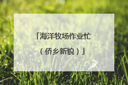 海洋牧场作业忙（侨乡新貌）