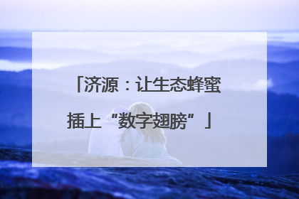 济源：让生态蜂蜜插上“数字翅膀”