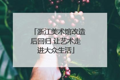浙江美术馆改造后回归 让艺术走进大众生活