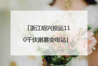 浙江绍兴投运110千伏谢慕变电站