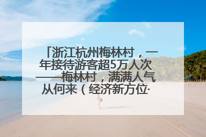 浙江杭州梅林村，一年接待游客超5万人次——梅林村，满满人气从何来（经济新方位·农村消费观察）