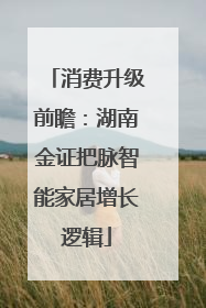 消费升级前瞻：湖南金证把脉智能家居增长逻辑
