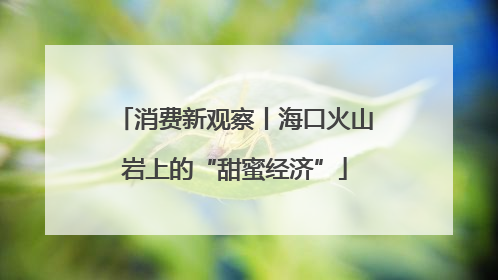 消费新观察丨海口火山岩上的“甜蜜经济”