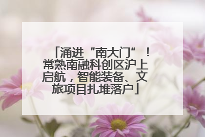 涌进“南大门”！常熟南融科创区沪上启航，智能装备、文旅项目扎堆落户