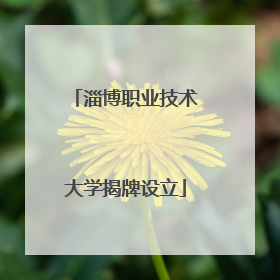 淄博职业技术大学揭牌设立