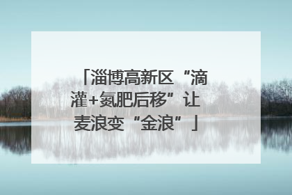 淄博高新区“滴灌+氮肥后移”让麦浪变“金浪”