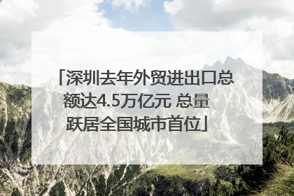 深圳去年外贸进出口总额达4.5万亿元 总量跃居全国城市首位