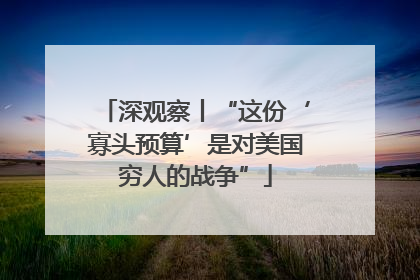 深观察丨“这份‘寡头预算’是对美国穷人的战争”