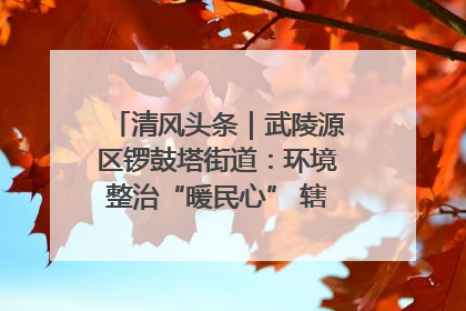 清风头条｜武陵源区锣鼓塔街道：环境整治“暖民心” 辖区面貌“靓”起来