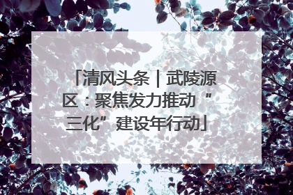 清风头条｜武陵源区：聚焦发力推动“三化”建设年行动