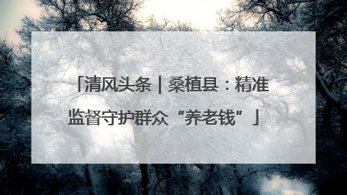 清风头条｜桑植县：精准监督守护群众“养老钱”