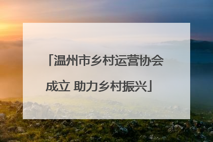 温州市乡村运营协会成立 助力乡村振兴