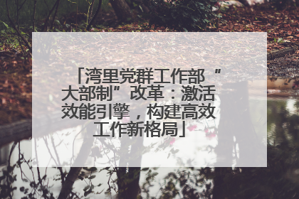 湾里党群工作部“大部制”改革：激活效能引擎，构建高效工作新格局