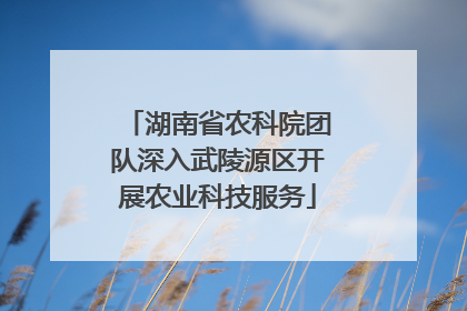 湖南省农科院团队深入武陵源区开展农业科技服务