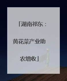 湖南祁东：黄花菜产业助农增收