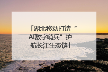 湖北移动打造“AI数字哨兵”护航长江生态链