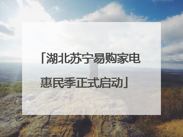 湖北苏宁易购家电惠民季正式启动