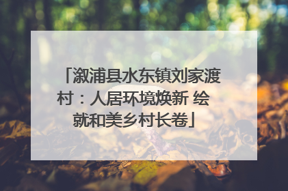 溆浦县水东镇刘家渡村：人居环境焕新 绘就和美乡村长卷