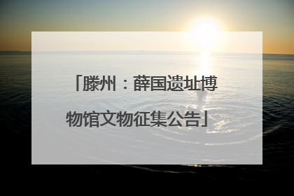 滕州：薛国遗址博物馆文物征集公告