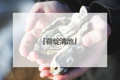 荷绽清池